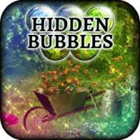 Hidden Bubbles: Country Corner