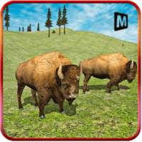 غاضب البيسون محاكاة 3D