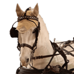 Horse Driving icon