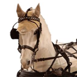 Horse Driving 2.2