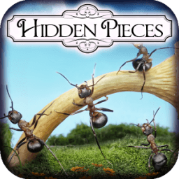 Hidden Pieces: Ant Farm icon