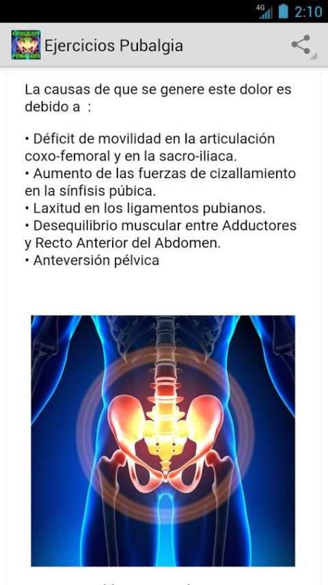 Ejercicios Caseros Pubalgia screenshot 4