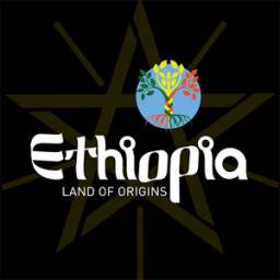 Ethiopia Land of Origins