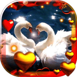 ikon Valentine Birds live wallpaper