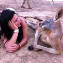Funny Videos 2016 WhatsApp screenshot 3