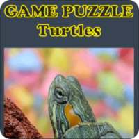 Game Puzzle Turtles