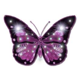 batterfly 1.0