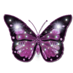 ikon Butterfly Widget