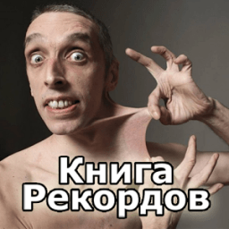 Книга Рекордов иконка