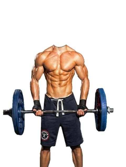 Gym body 2 تصوير الشاشة