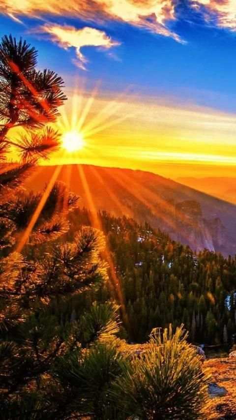 Sunrise Wallpapers screenshot 13