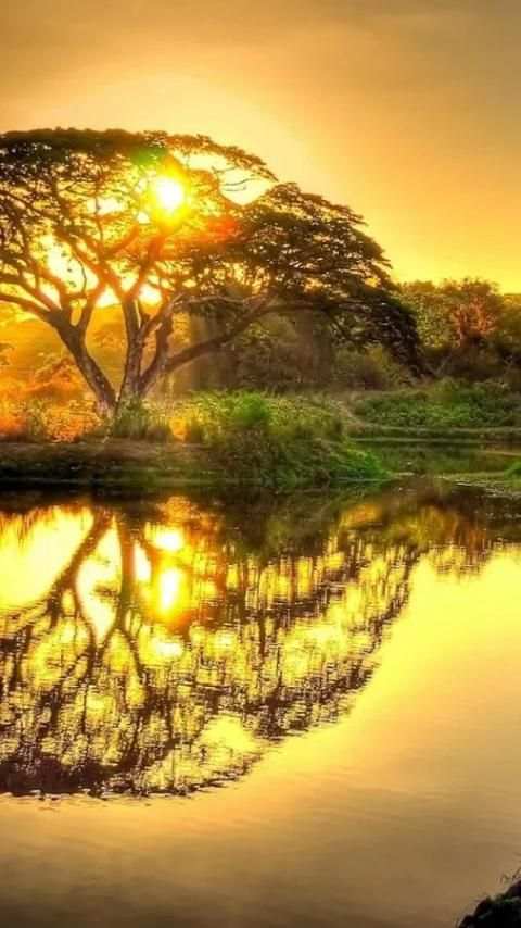 Sunrise Wallpapers screenshot 5