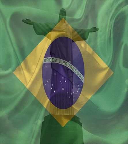 Flags Face Brésil Insta-App screenshot 1