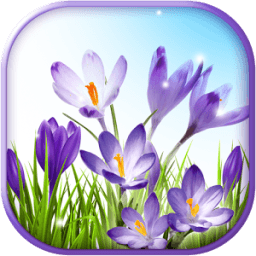 Spring Live Wallpaper App icon