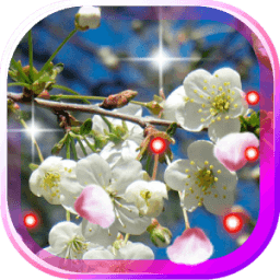 Яблоня Цветы живые обои иконка