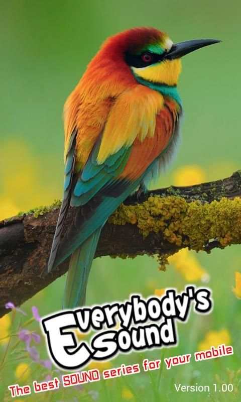 Bird Sounds screenshot 6
