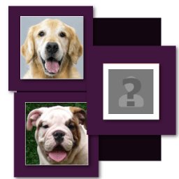 ikon Dog Breeds Look Like You Most