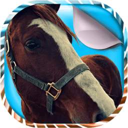 Horses Live Wallpaper 1.0