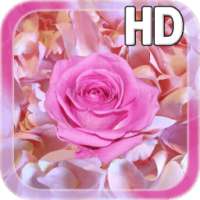 Rose Petals Live Wallpaper