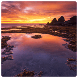 Fantastic Indonesia Wallpapers icon