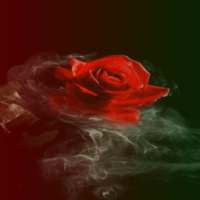 Smoky Rose Live Wallpaper on 9Apps