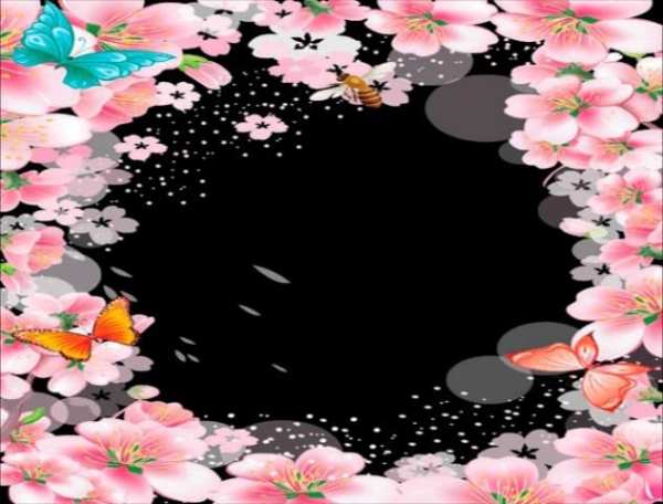 Photo Frames Butterfly screenshot 5