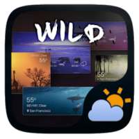 Wild GO Weather Widget Theme on 9Apps