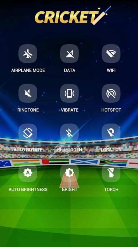 Cricket theme for APUS screenshot 1