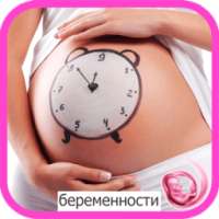 Календарь беременности on 9Apps