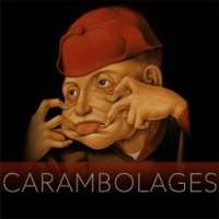 Carambolages, l'exposition on 9Apps