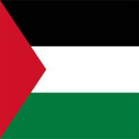 Palestine News