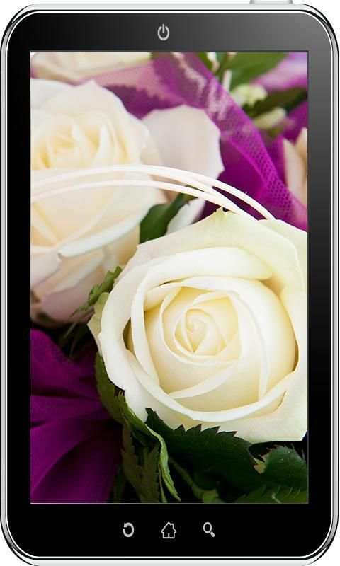 Rose Wallpaper HD 1 تصوير الشاشة