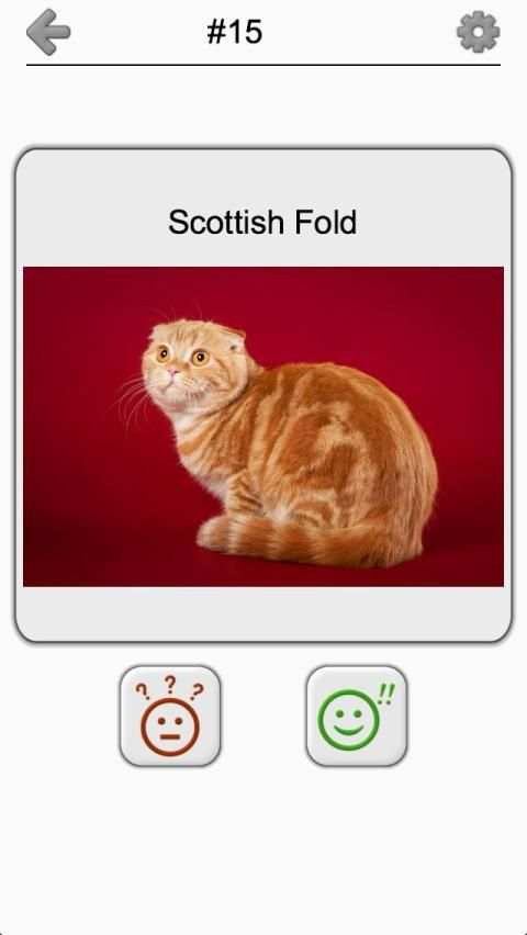 Cats Quiz - Guess Photos of All Popular Cat Breeds screenshot 1