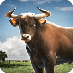 Bull Simulator 3D आइकन