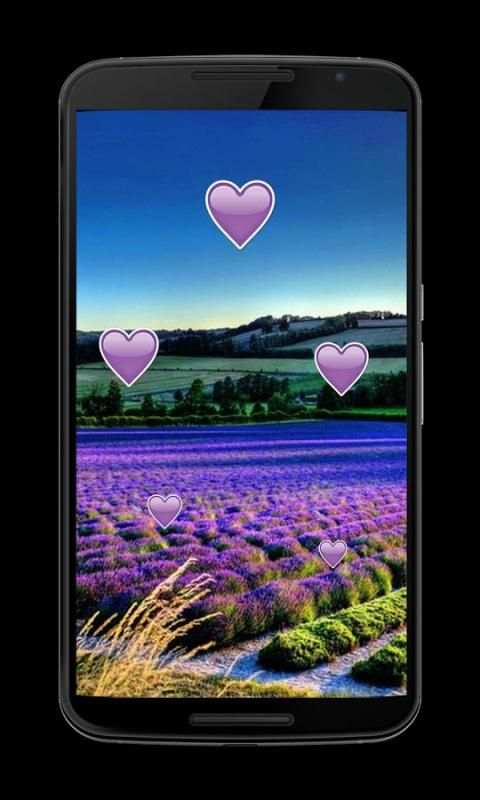 Purple Lavander Wallpaper screenshot 3