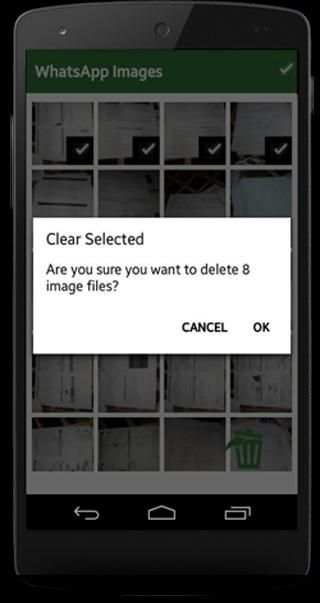 Cleaner For Whatsapp plus 2 تصوير الشاشة
