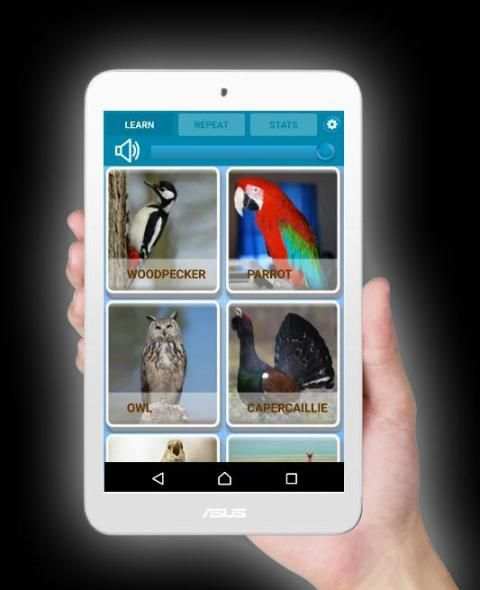 Birds Sounds for Kids screenshot 1