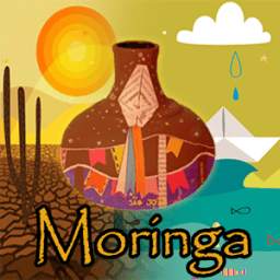 Moringa 1.2.1