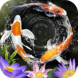 Lively Koi Fish Live Wallpapers