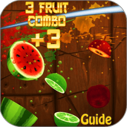 ikon Guide For Fruit Ninja