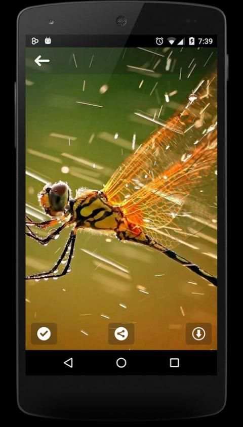 Rain Live Wallpaper 2016 स्क्रीनशॉट 8