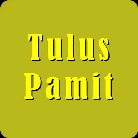Tulus - Pamit screenshot 1