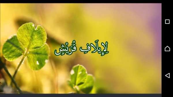 Murottal Hafidz Alquran скриншот 3