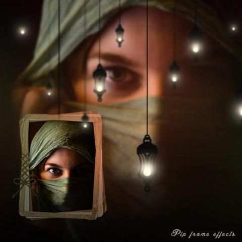 Pip Camera Frame Effects 4 تصوير الشاشة