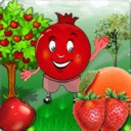 Fruits Juicer 1.0