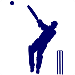 ikon Street Cricket Calculator