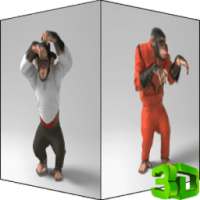 Monkey 3D Video LWP