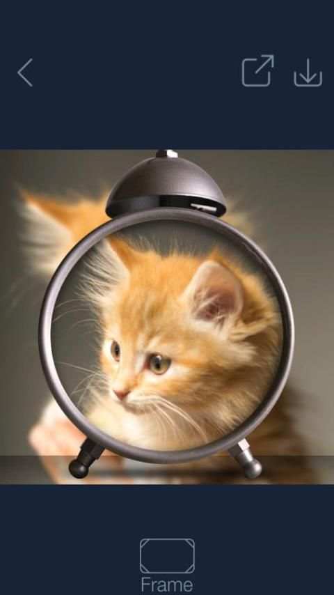 PIP Camera Editor स्क्रीनशॉट 5