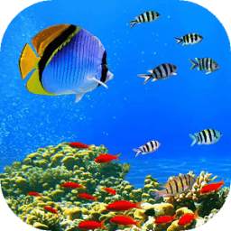 Underwater world 1.2
