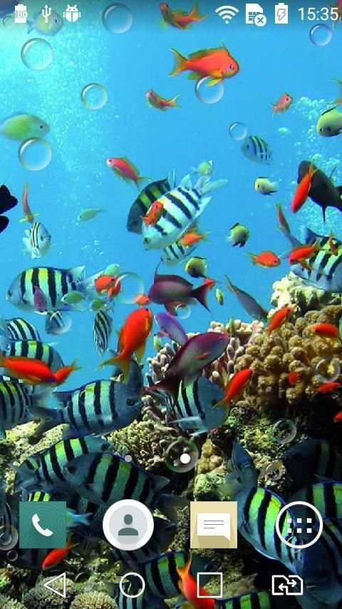Underwater world live wp screenshot 4